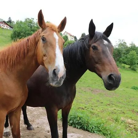 Apartmán Gentiane *