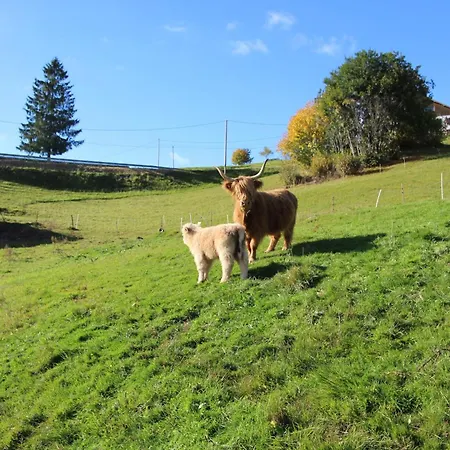 Gentiane * La Bresse