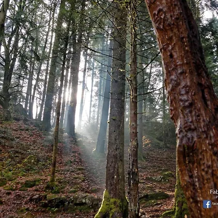 Gentiane Apartmán La Bresse