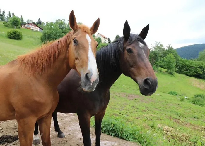 Apartmán Gentiane *