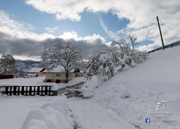 Gentiane * La Bresse