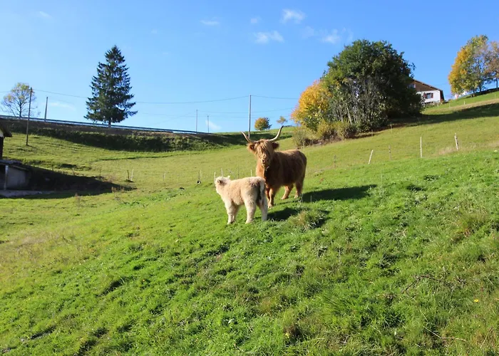 Gentiane * La Bresse