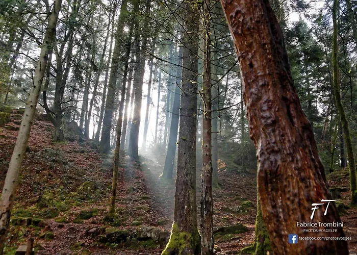 Gentiane Apartmán La Bresse